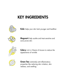 A New Leaf Cream Cleanser