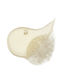 Amber 528 Scented Hand & Body Wash