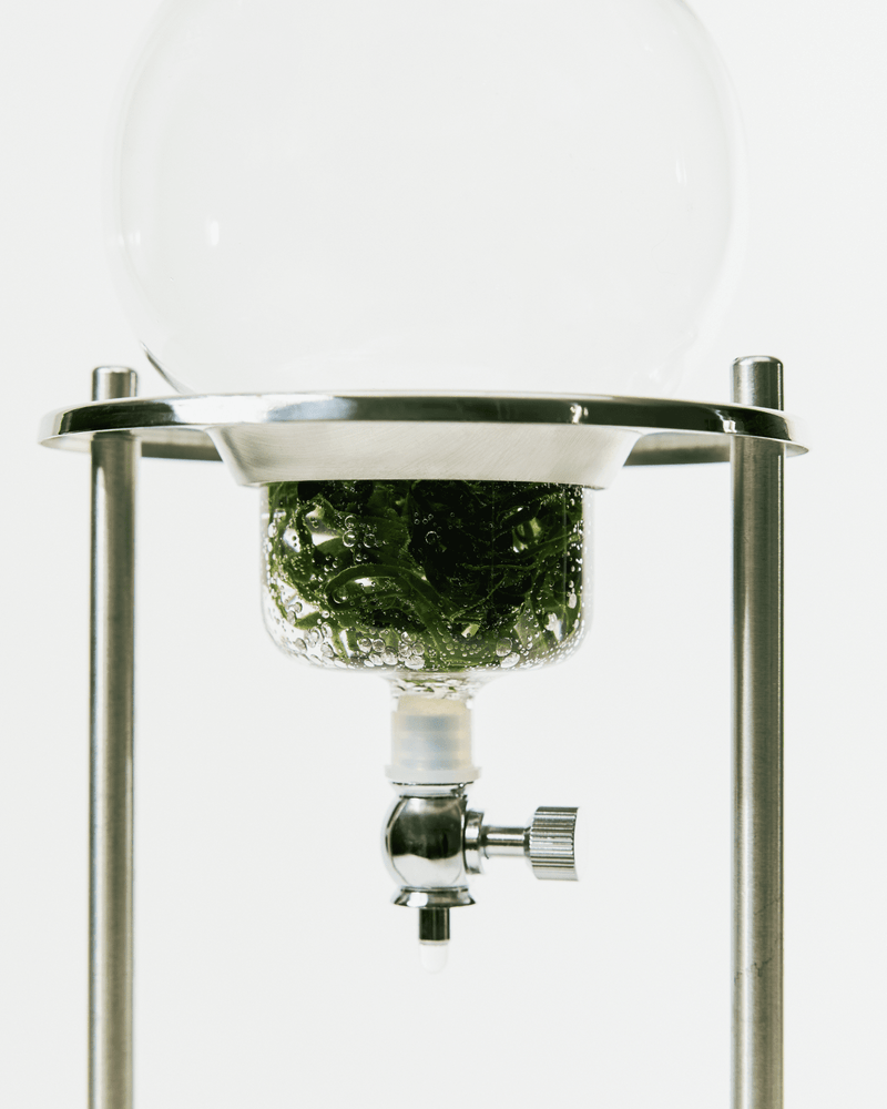 Refreshing Sea Kelp Real Deep Mask (4 Pack)