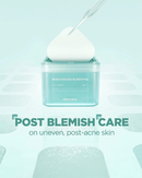 Madecassoside Blemish Pad